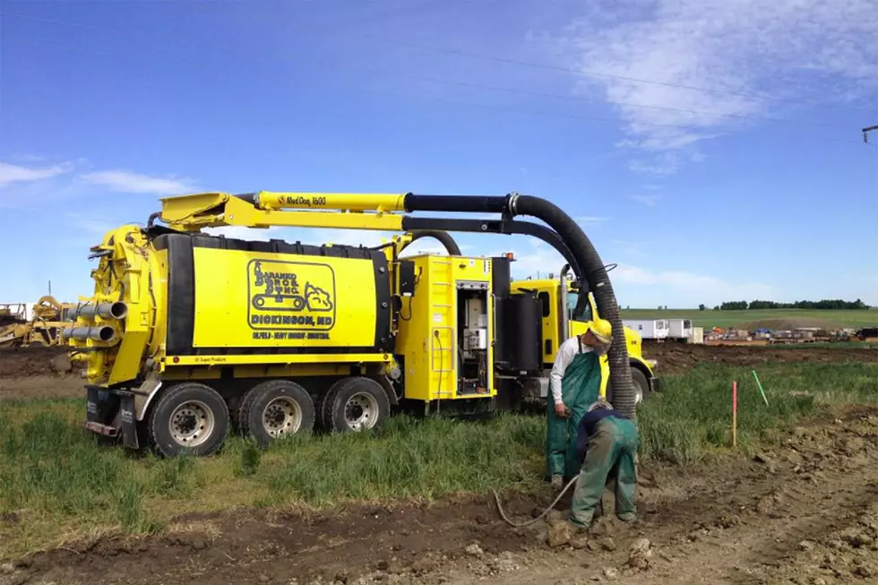 Buy This Unique Business And Start Working As A Prairie Dog Vacuum-er