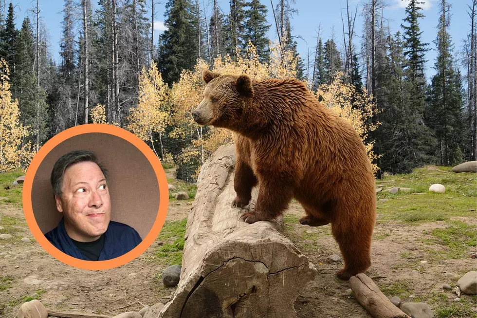 My Humble Apology To Wyoming Bears