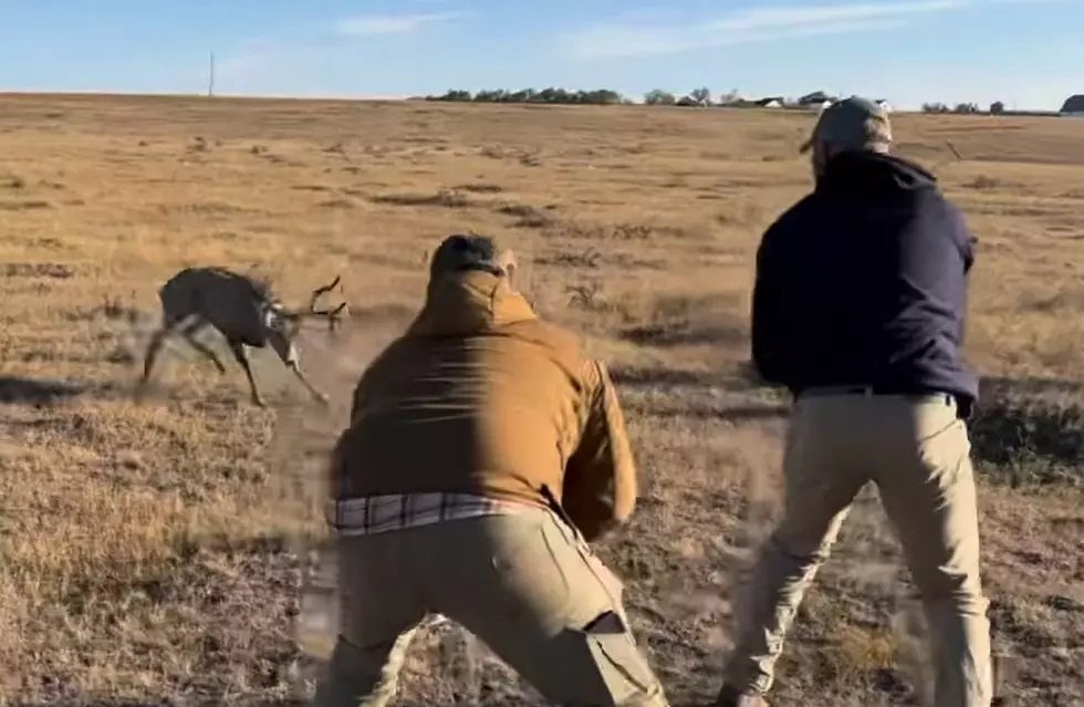 WATCH: Hunters Save Buck Rather Than Killing It