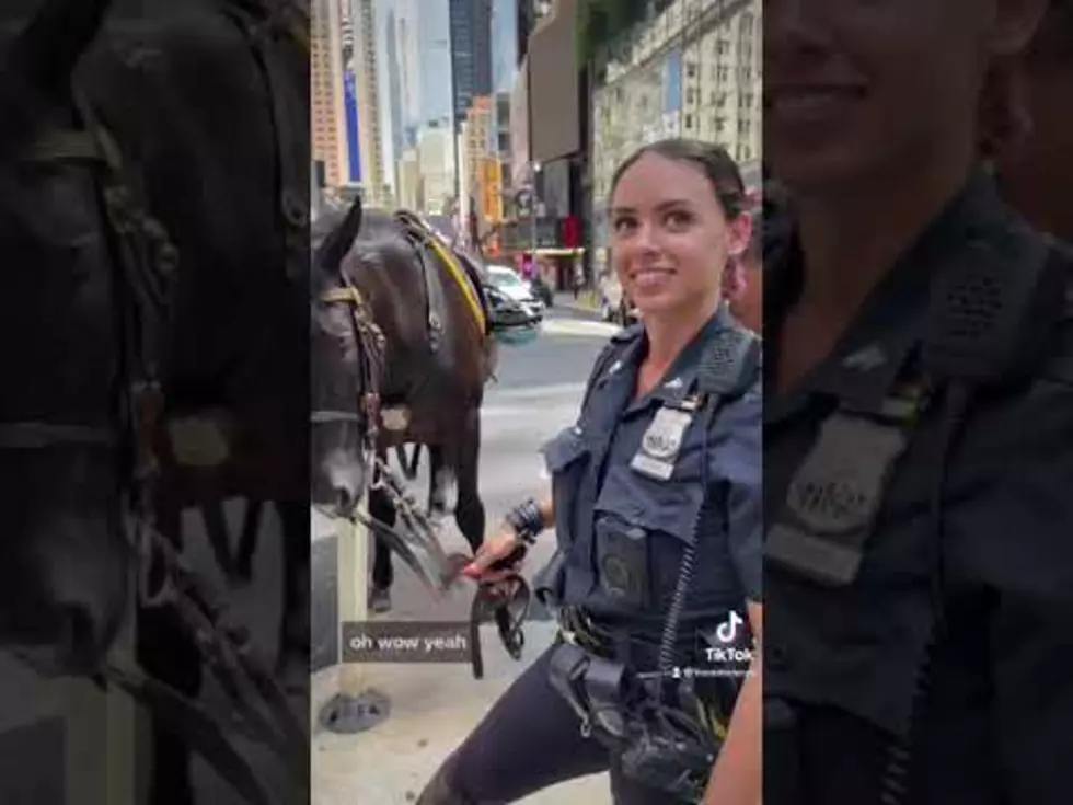WATCH: Wild Wyoming Horse Is Now A New York City Police Officer