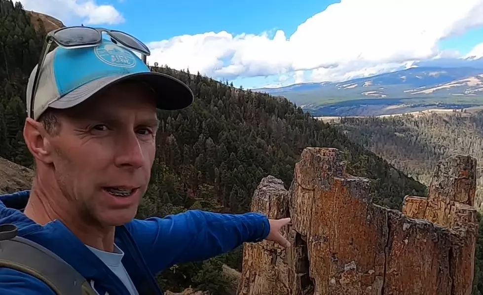 LOOK: Yellowstone’s Astounding Petrified Trees