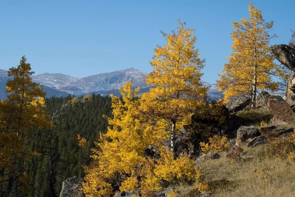 LOOK: Nothing Beats Fall In Wyoming&#8217;s Bighorn Mountains