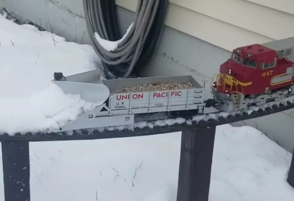 That's It, We All Need A Toy Train Snow Plow