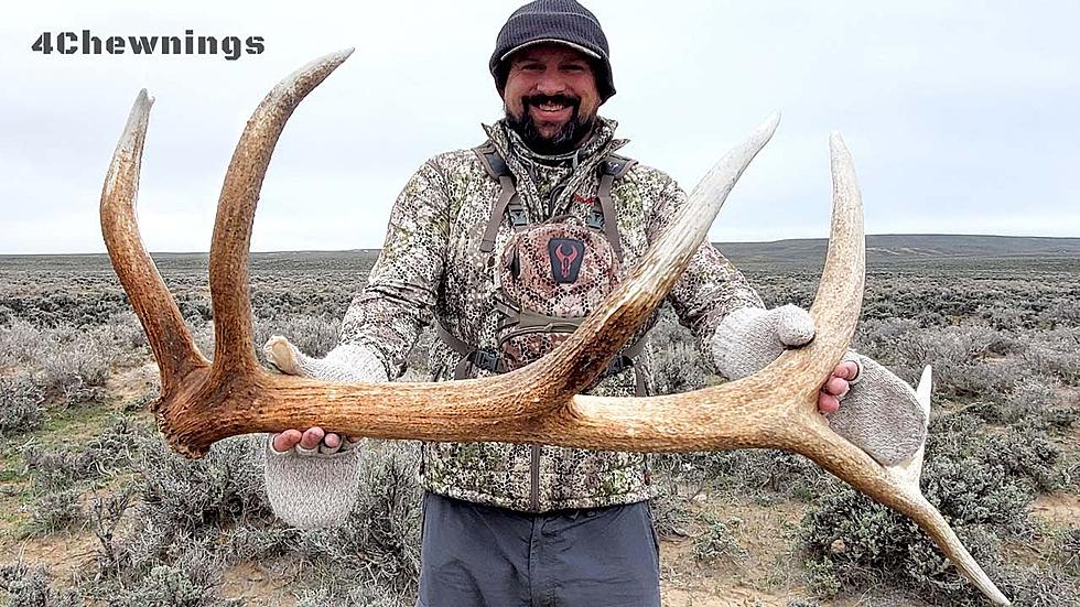 Famous Wyoming Antler Hunt Might Be Delayed 2023