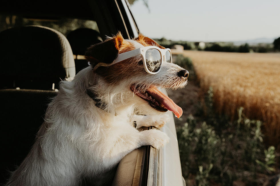 A Clever Way To Beat Wyoming’s Summer Heat Without AC