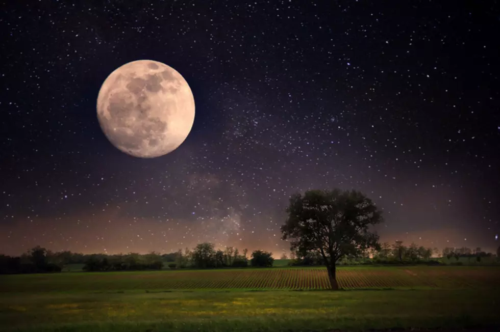 Full moon and lonely tree