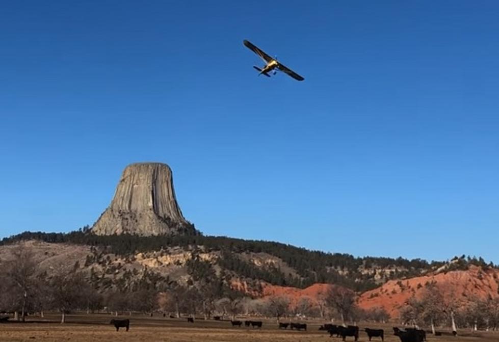 WATCH: Checking On Devil&#8217;s Tower Cattle By Air