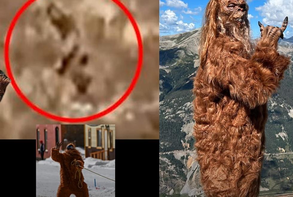 Internet Pounces On Colorado Bigfoot Sighting As HOAX