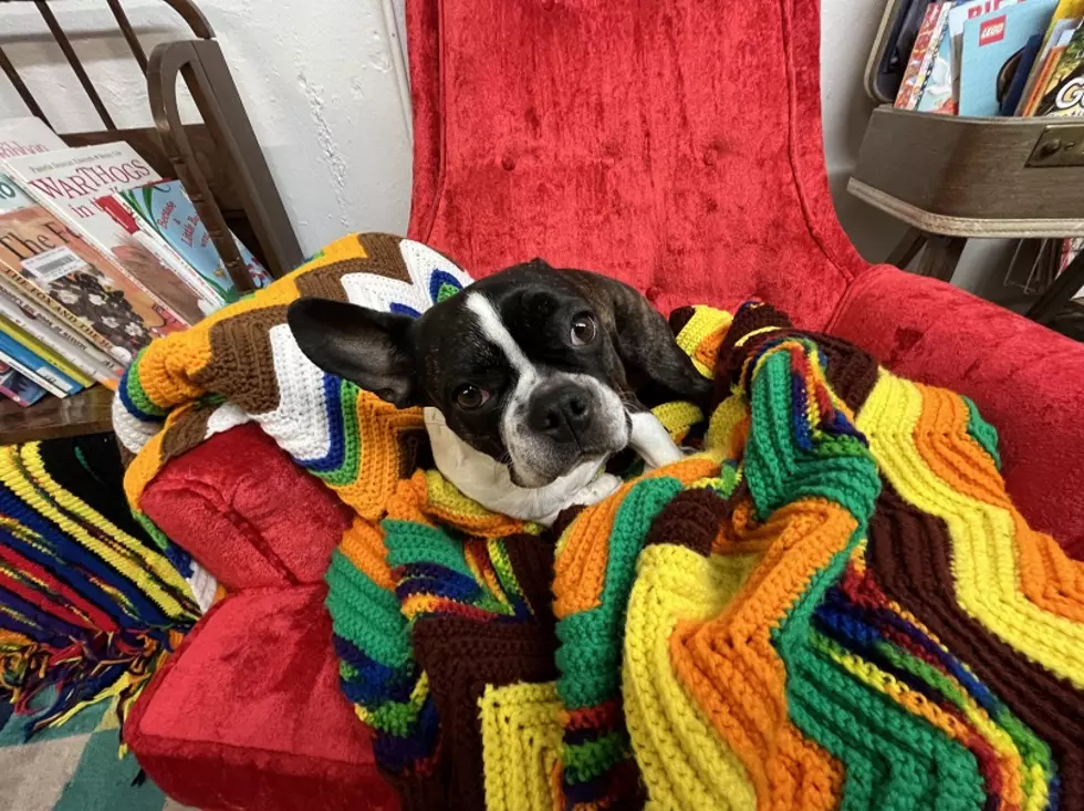 Lily, store security officer.