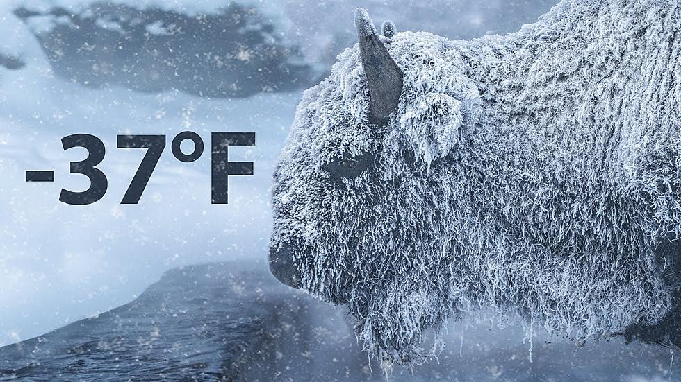 WATCH: Life At -37°F In Yellowstone