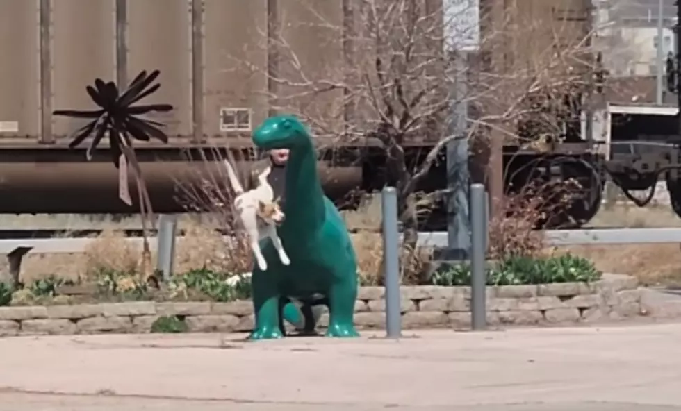 Gillette, Wyoming Dog Tries Making Friends With Sinclair Dino