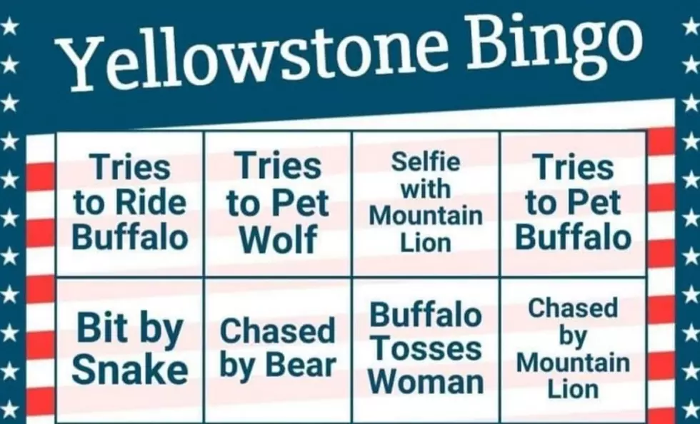 Get Your Yellowstone Bingo Card For Tourist Season