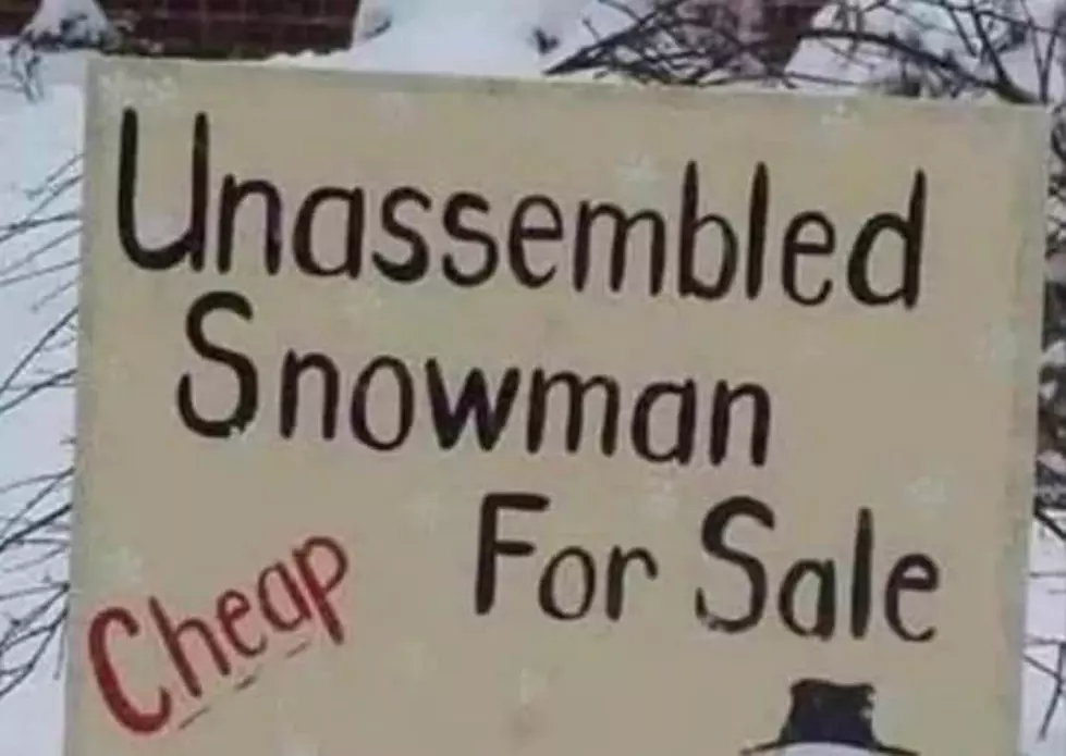 Clever Wyoming Man Sells Snowman
