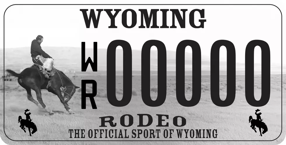 2026 Rodeo State Of Wyoming
