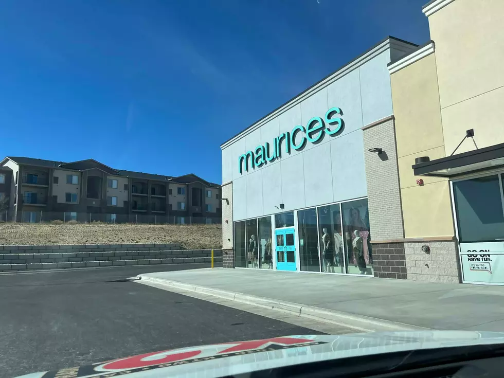Blackmore Marketplace Photo by Glenn Woods