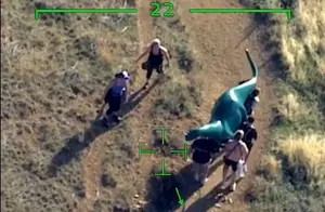 WATCH: Plane Records Stolen Sinclair Dino Carried Home
