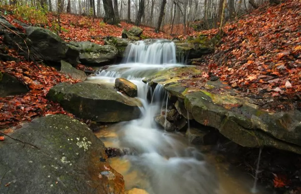 The Hidden Alabama Park You Didn’t Know About