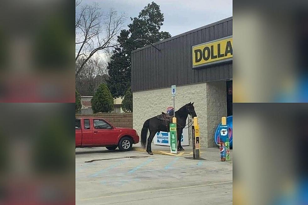 Someone In Alabama Found The Solution To High Gas Prices