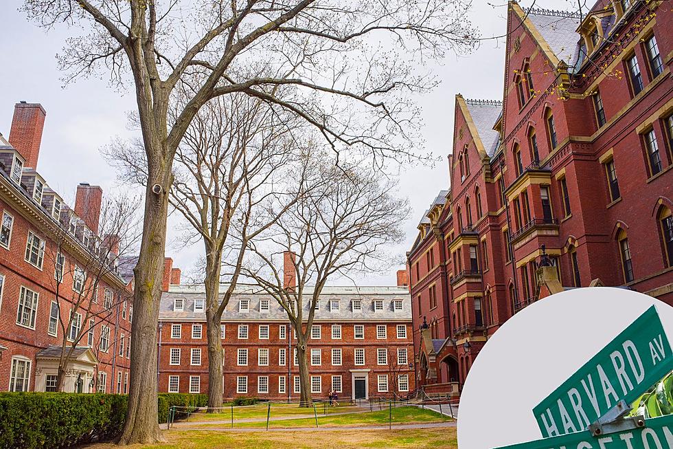 Alabama: Check Out These Free Harvard Courses You Can Start Today