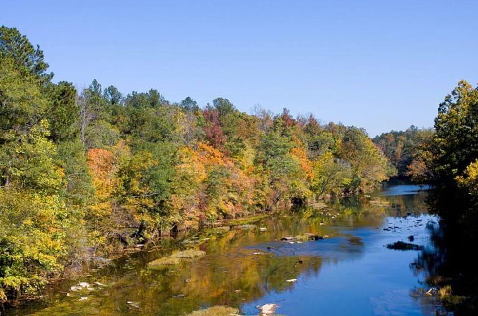 These 5 Incredible Alabama Rivers Should Be On Your Must See List