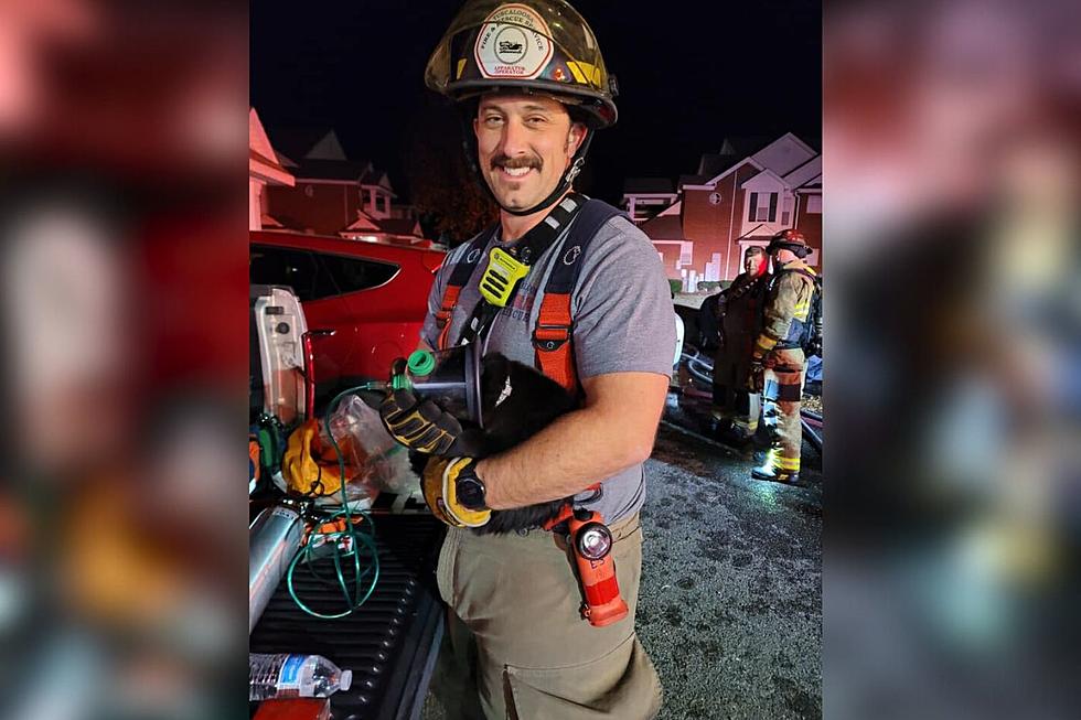 Tuscaloosa Fire Rescue Saves Cat From Apartment Fire Thursday
