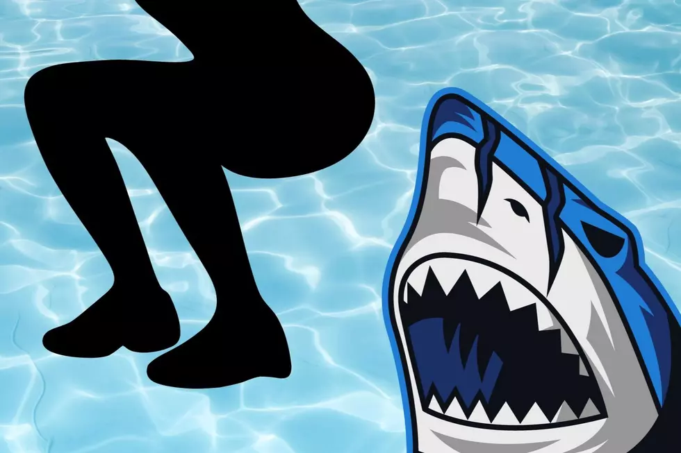 Bit In The Groin! Is This New York&#8217;s Most Bizarre Shark Attack?