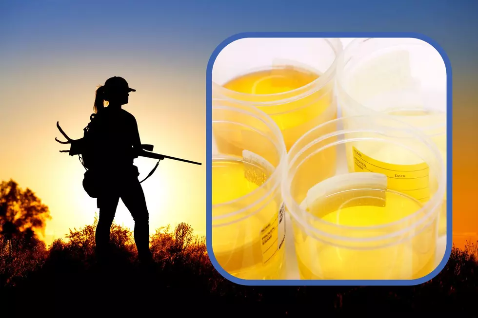 New York State Has A Warning For Hunters About Deadly Urine