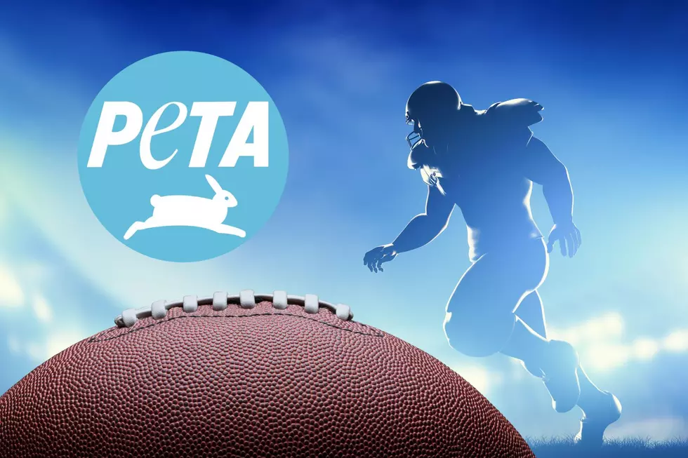 PETA Targets New York State Football Tradition With Bizarre PSA