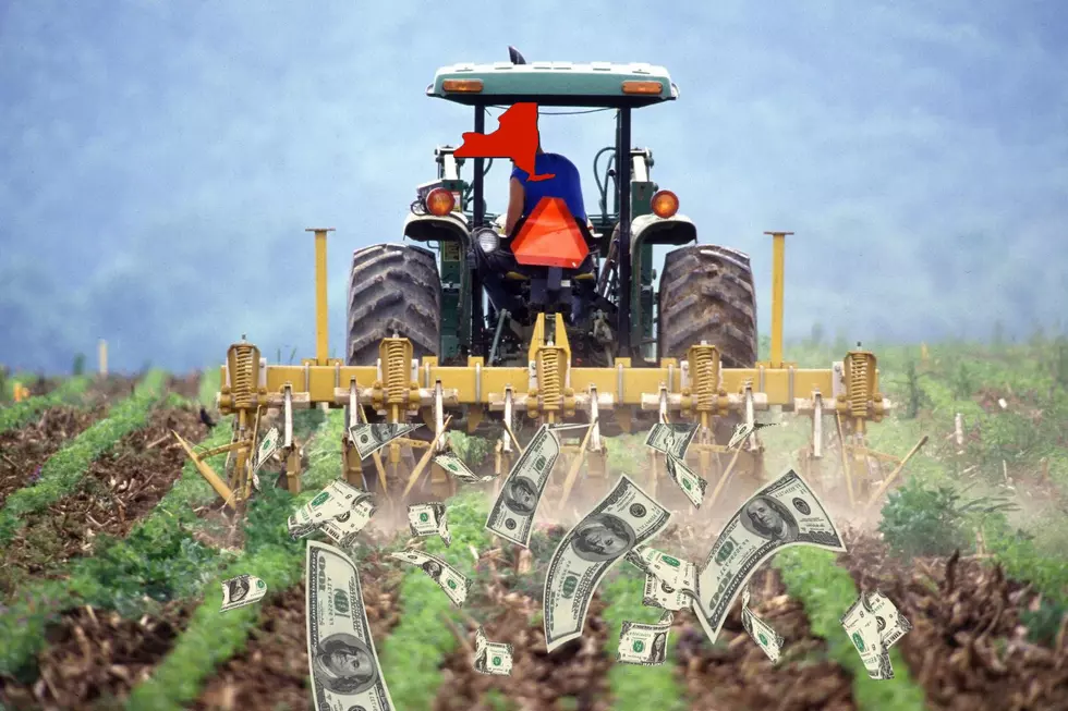 Here Are New York State's 11 Most Valuable Crops