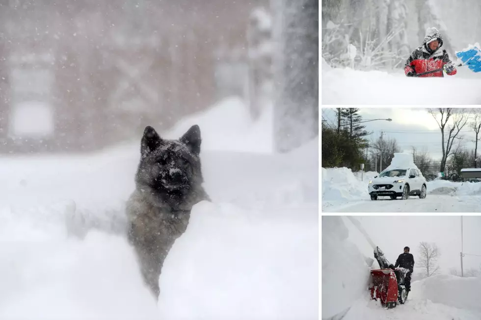 6' Deep In WNY! See Buffalo's Historic Weekend Lake Effect Snow