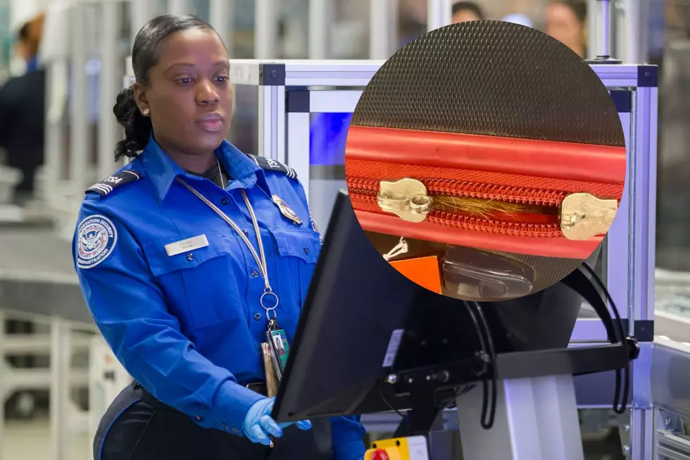 New York TSA Agents Find Unexpected Stowaway In Traveler’s Bag