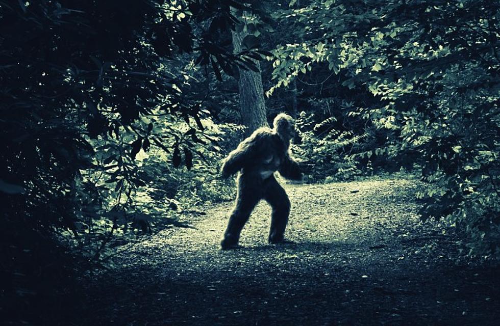 Terrifying Bigfoot Like Creature On The Move in New York State