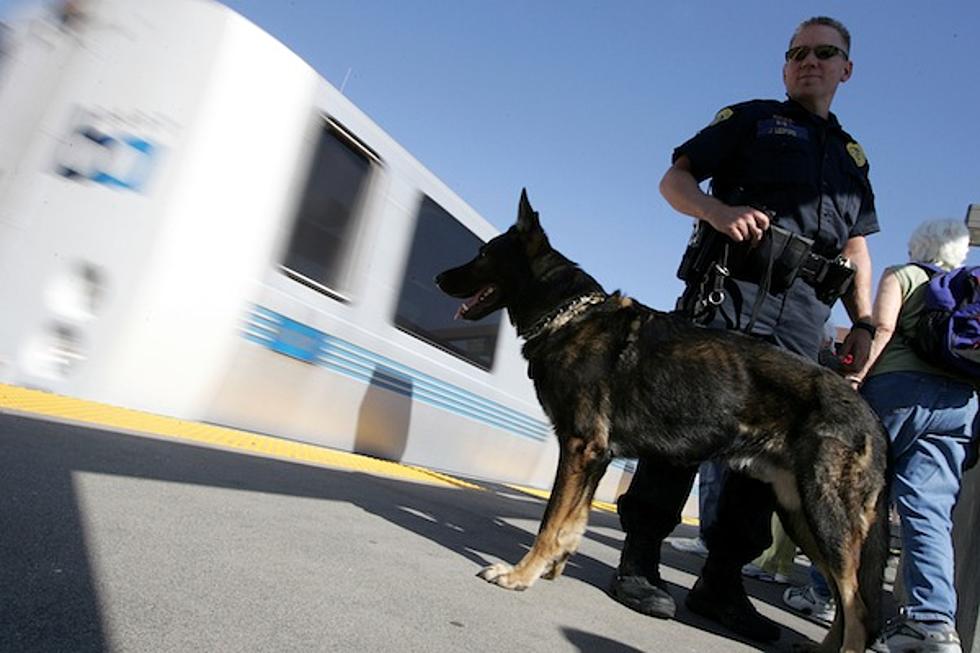 Ohio Man Arrested for Barking at Police Canine