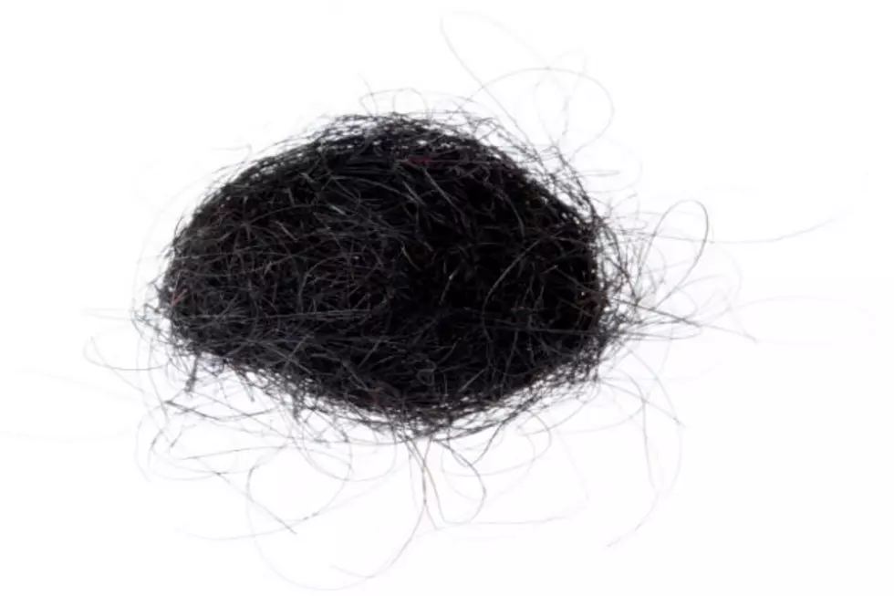 This Is Not a Tuft of Hair [TERRIFYING VIDEO]