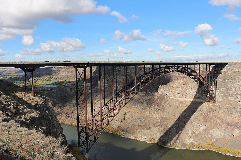 Funny Perrine Bridge Reviews