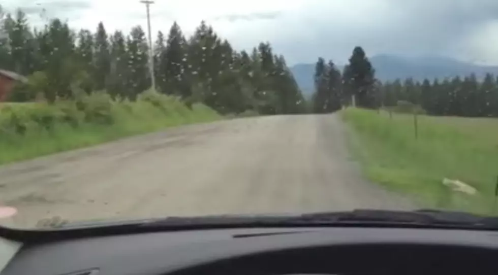 Have You Heard Of The Weird Anti-Gravity Hill In Idaho? (VIDEO)