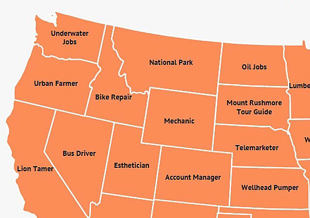 Guess What Job Idahoans Google More Than Any Other?