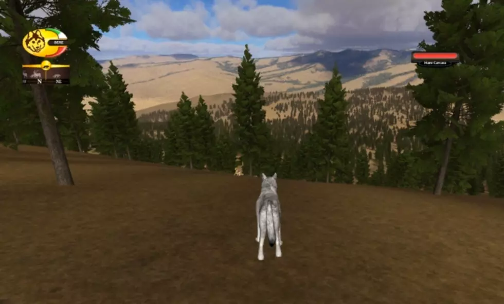 New Video Game Lets You Play As A Wolf In Yellowstone National Park