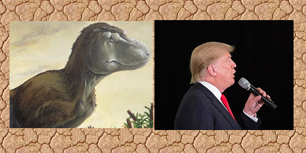Dinosaurs That Look Kind Of Like Donald Trump Discovered In Idaho