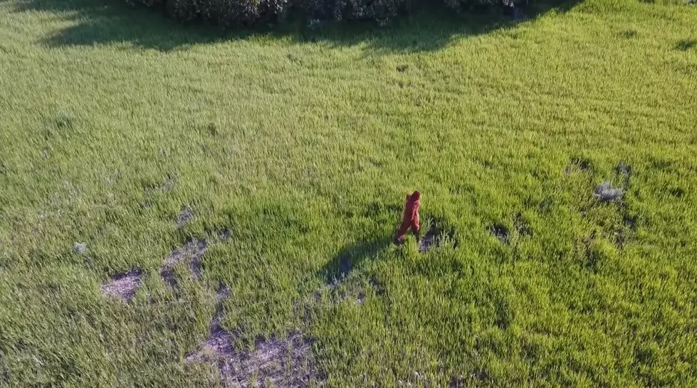 Alleged Idaho Bigfoot Drone Video Was A Fake And We Can Prove It