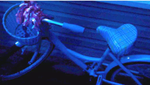 Can You Help Find This Twin Falls Girl&#8217;s Bike That Was Stolen?