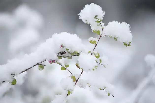 What&#8217;s Your Guess For Magic Valley&#8217;s First Measurable Snowfall? (POLL)
