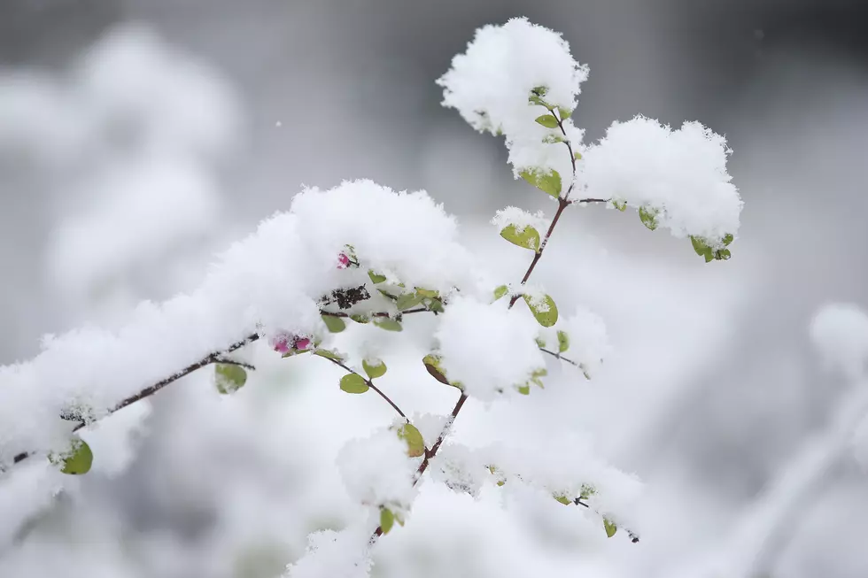 This Video Shows A Truly Beautiful Winter Wonderland