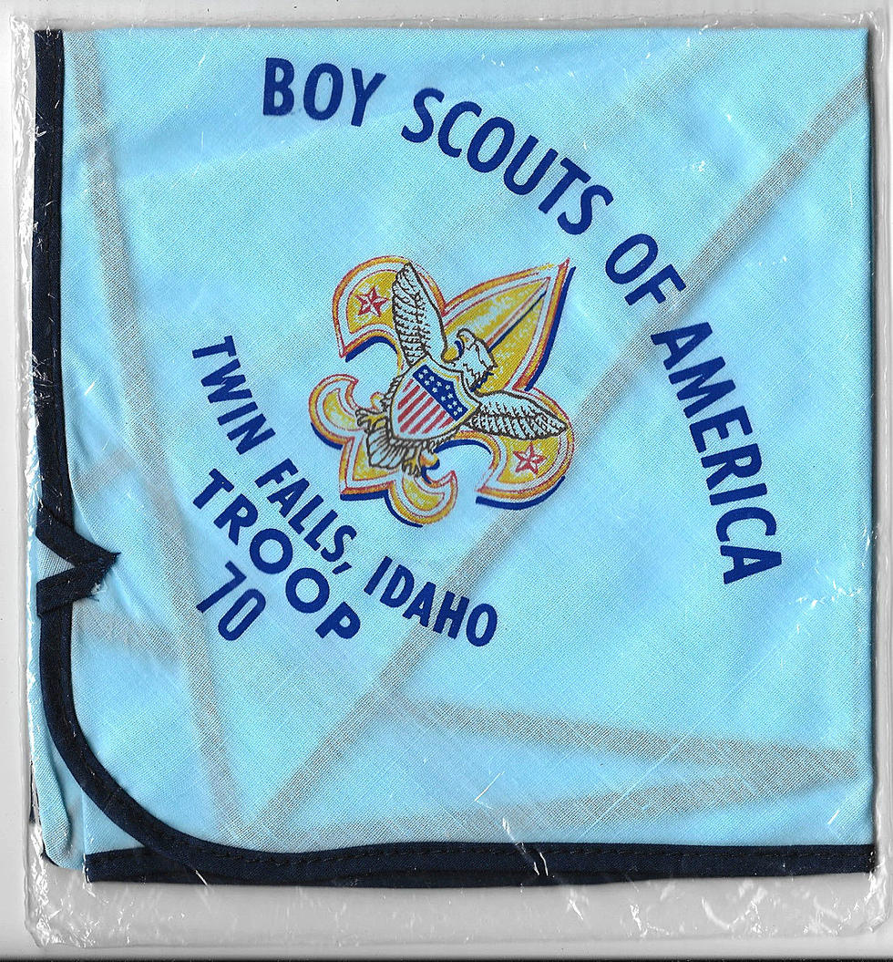 This Retro Twin Falls Boy Scout Neckerchief On Ebay Will Take You Back