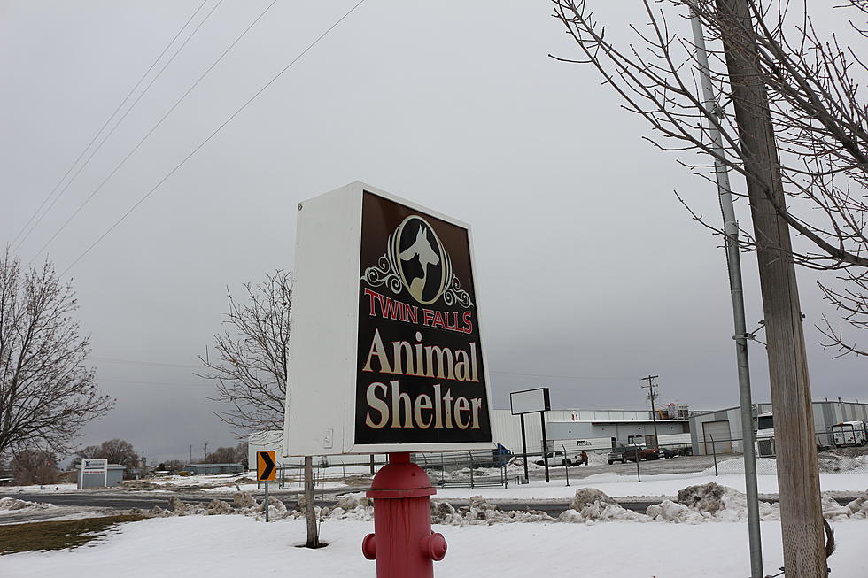 Twin Falls Animal Shelter Food Pantry Dangerously Low