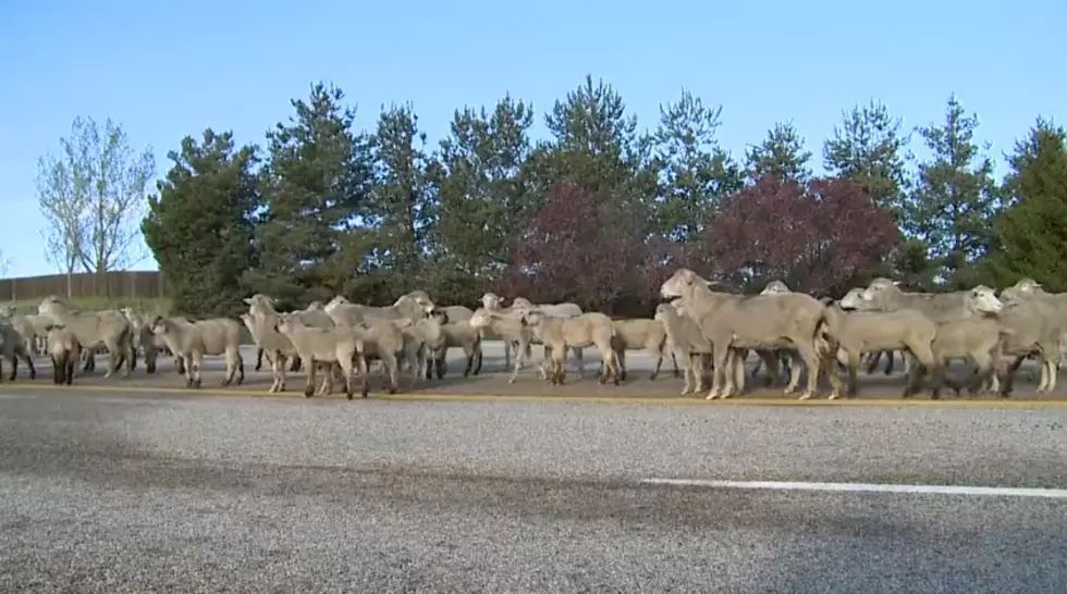 This is What Traffic Looked Like in Eagle, Idaho (WATCH)