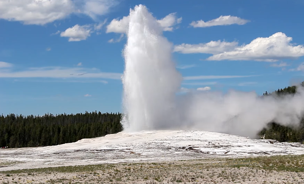 People Are Making Too Much Noise in Yellowstone National Park