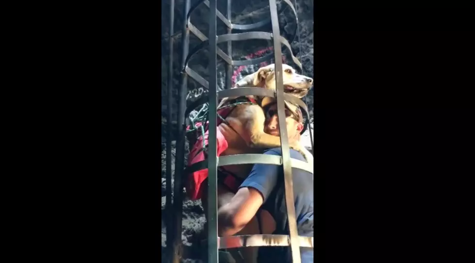 In Idaho, THIS is How You Carry a Dog Down a Ladder into a Cave (WATCH)