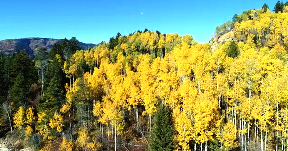 New Drone Video Shows Off Eastern Idaho’s Spectacular Fall Colors