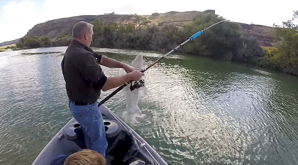 Watch a 7-Foot Sturgeon Decide it Wants to Jump in the Boat on Snake River